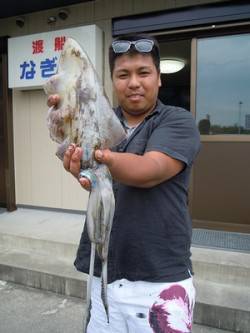 アオリイカ胴長33cm(1.09kg)を頭…