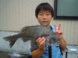 湯浅の磯で良型チヌ・アジ・グレ　少年フカセ師の釣果です