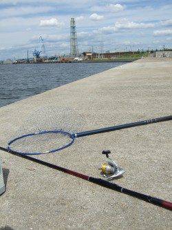 西中島埠頭で落とし込みチヌ　開始早々沈みこみが止まるアタリ！