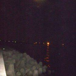 姫路1万トン岸壁　アジ・アナゴ・ガシラの釣果