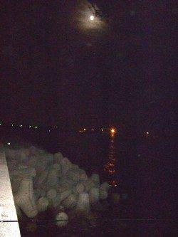 姫路1万トン岸壁　アジ・アナゴ・ガシラの釣果