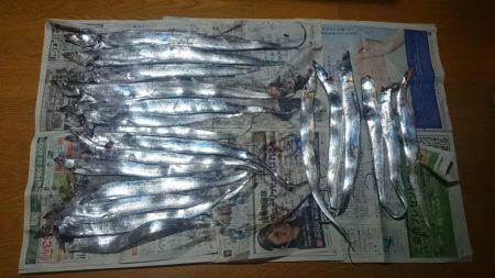 武庫川一文字　タチウオ高活性！　釣果はワイ…