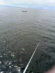 岸和田一文字でショアジギング　45cmのサゴシ