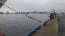 小野浜　タチウオはアタリ無いもののサビキは好釣果