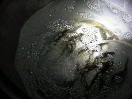 翼港にてサビキでアジ釣り　夜はかなり冷えて…