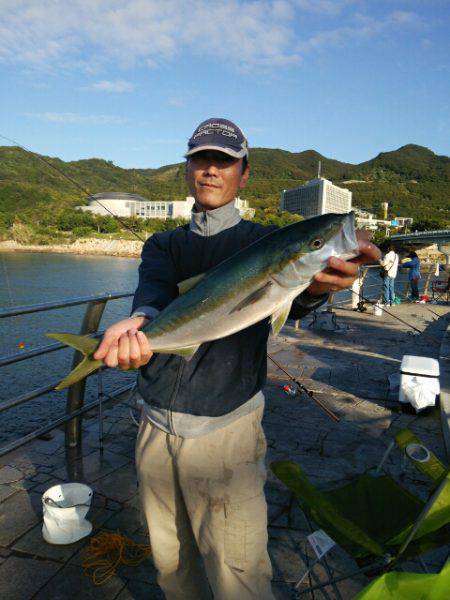 淡路島・翼港　ノマセ釣りでメジロ！中々の引…
