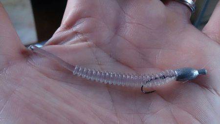 妻鹿（白浜）漁港　朝６時すぎナブラがたちカ…