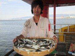 尼崎市立魚つり公園　サビキ大爆釣、二人でアジ400匹イワシ500匹！