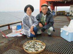 夏休み後の静かな桟橋でしたがサビキの魚は大賑わい！ 尼崎市立魚つり公園