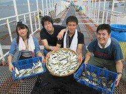 尼崎魚つり公園　今日もサビキ絶好調！　人気のサヨリも少しサイズUP