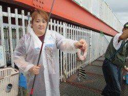 サビキでアジ、サバのほかサンバソウも高活性　尼崎市立魚つり公園