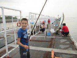 尼崎市立魚つり公園　今日は午前中アジが好調でした