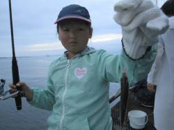 尼崎市魚つり公園　サビキのアジは朝方がオス…