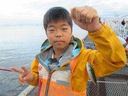 尼崎市魚つり公園　サビキのアジは朝方がオススメ