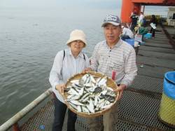 尼崎市立魚つり公園　サビキで大漁アジ・サン…