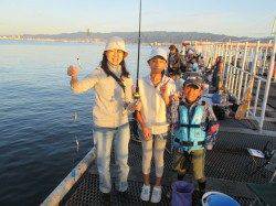 尼崎市魚つり公園 サビキでイワシ・サッパ サヨリの釣果もあり