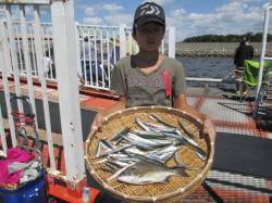 尼崎市魚つり公園　サビキでイワシ・サッパ　…
