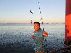 尼崎市魚つり公園　午前イワシ・午後サッパ中心　サヨリやチヌも