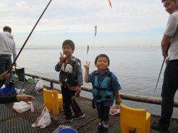 サビキでイワシにサバ大漁！アジはどこに？