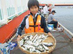 サビキでイワシにサバ大漁！アジはどこに？