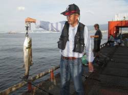 尼崎市立魚つり公園　のませでスズキ・ハネ　…