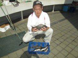 尼崎市立魚つり公園 のませでスズキ・ハネ フカセでチヌの釣果