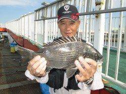 尼崎市立魚つり公園　サヨリ・サッパ・小チヌ・アイゴなど