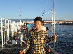 尼崎市魚つり公園　サビキでサッパ　他サヨリの釣果