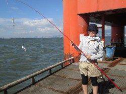 尼崎市立魚つり公園　ノマセ釣りでスズキ71cm！