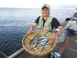 尼崎市立魚つり公園　アジの時合短いのでサヨリ狙いがお勧め！