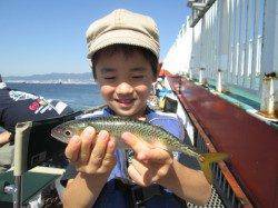 サヨリ、本日も絶好調☆尼崎市立魚つり公園