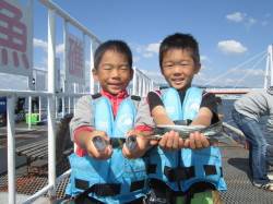 尼崎市魚つり公園　サビキはサッパ中心の釣果…