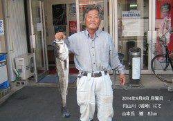 円山川（城崎）にてスズキ82㎝！