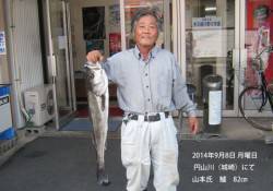 円山川（城崎）にてスズキ82㎝！