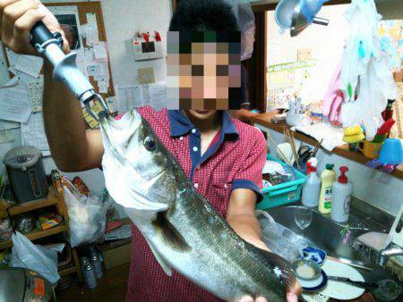 洲本川にてシーバス狙い　 2投目でいいサイ…