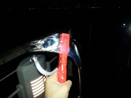 大阪南港　ワインドでタチウオ☆F4.5サイ…