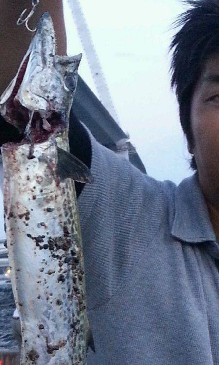 舞洲周辺　サビキでイワシ・アジ☆ジグでサバ…