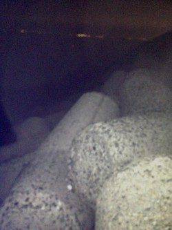 貝塚人工島でタチウオワインド　Ｆ３の８２ｃｍでした