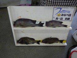 天神崎　フカセ釣りでチヌ・コロダイ・イサギの釣果