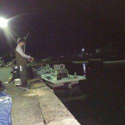 宇久　ランガンエギングで待望のアオリゲット