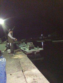 宇久　ランガンエギングで待望のアオリゲット