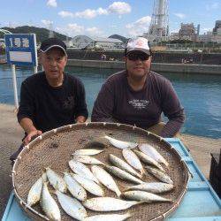 マリーナシティ海釣り公園　サビキでコノシロ・アジの釣果