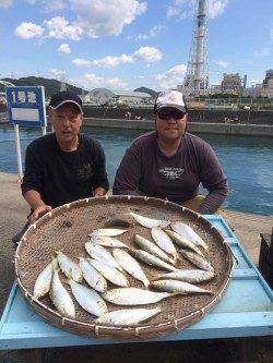 マリーナシティ海釣り公園　サビキでコノシロ・アジの釣果