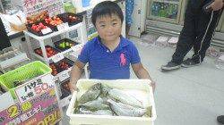 見草堤防にてお子様がアイゴ・チヌ！ウキ釣りにて