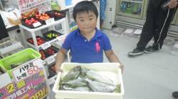 見草堤防にてお子様がアイゴ・チヌ！ウキ釣り…