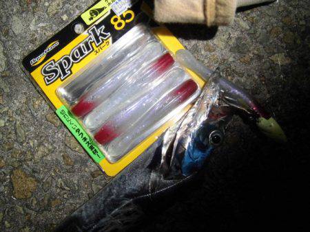 喰わせの間を作ることがヒットに繋がりました…