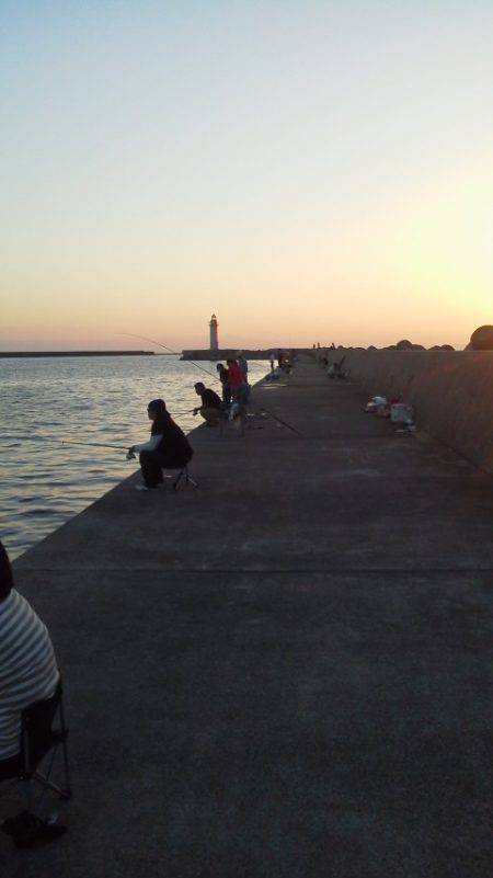 紀ノ川河口　今日のタチウオ釣りは渋め　帰り…