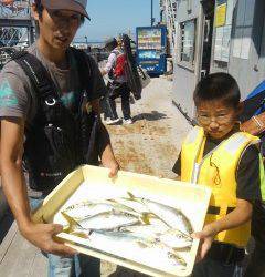 岸和田、ノマセ釣りで青物が好調です