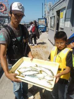 岸和田、ノマセ釣りで青物が好調です