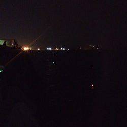 助松埠頭　大勢のタチウオ狙いの中でのワインド釣行